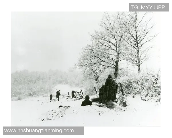 伐木者在新英格兰的挑战与机遇探讨：一场关于勇气与智慧的较量